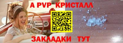 гашик Жуковский