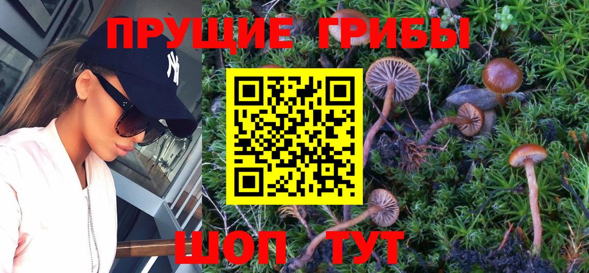 Лыткарино  Псилоцибиновые грибы мухоморы  Галлюциногенные грибы Cubensis  Вход с VPN 